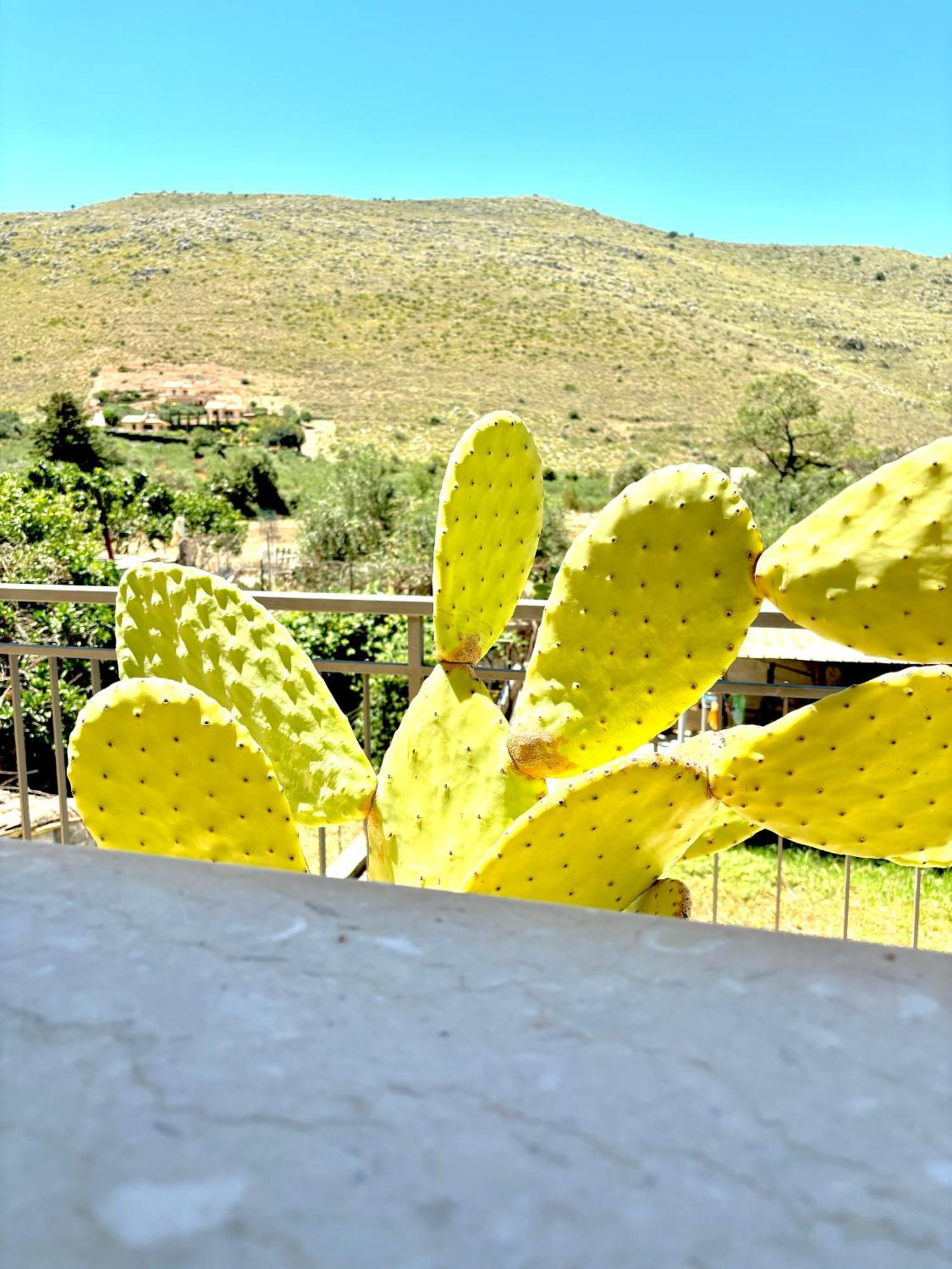 Bed And Breakfast Turi Castelluzzo Exterior foto